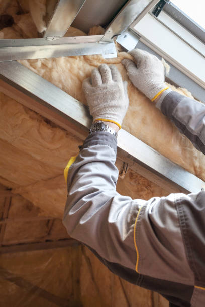 Best Specialty Insulation in Forest City, FL