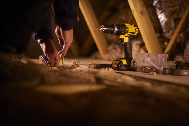Best Insulation Installation Services in Forest City, FL