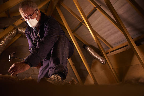 Best Insulation Materials and Products in Forest City, FL